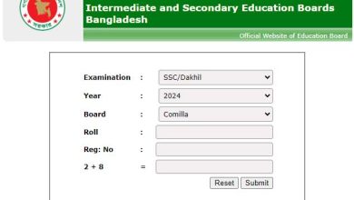 www.comillaboard.gov.bd ssc result 2024